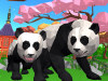 熊貓家族